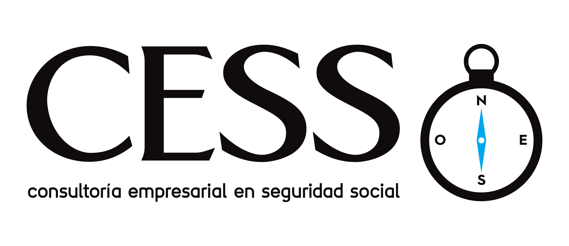 Logo CESS Consultores